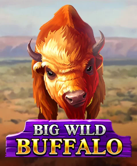 Play Big Wild Buffalo at Cheeky Casino